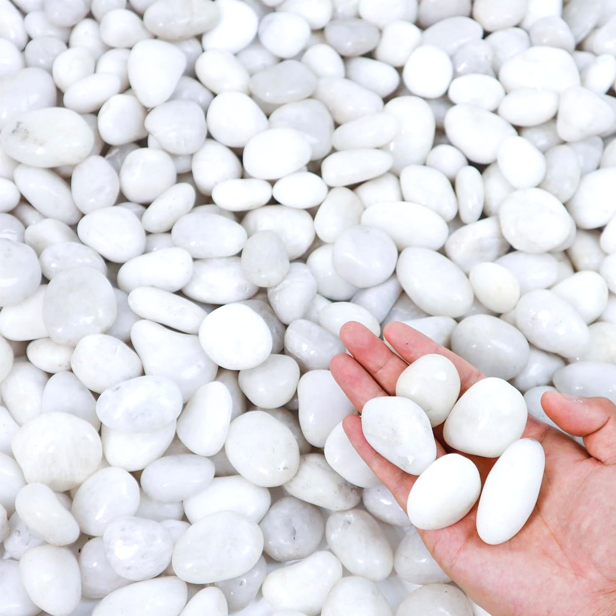 Aquarium Sand White - หินแม่น้ำธรรมชาติขัดเงาสีขาว 400 กรัม ขนาด 2-3 ซม.