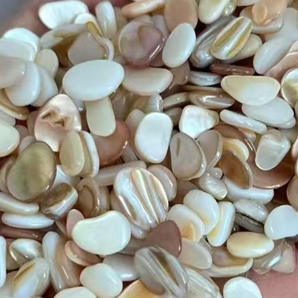 Aquarium Sand White - เปลือกหอยมุกธรรมชาติสีเบจขาวขนาด 4-7 มม. จำนวน 50 ชิ้น