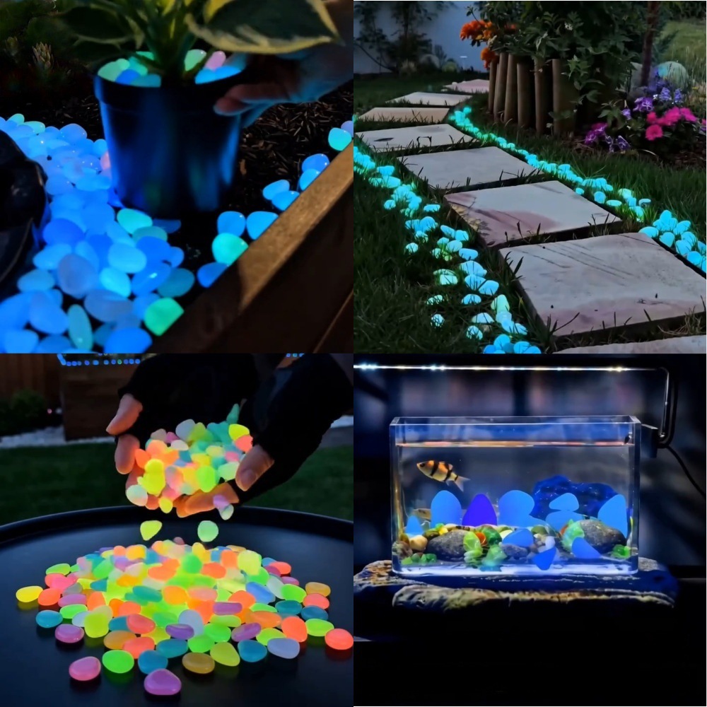 Planted Aquarium With Fish - หินเรืองแสงหลากสีสันสำหรับตกแต่งสวน ทางเดินกลางแจ้ง ตู้ปลา และกระถางต้นไม้