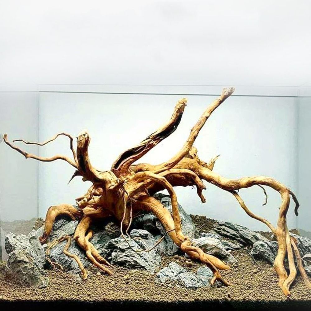 Planted Aquarium Equipment - ไม้ลอยน้ำขนาดใหญ่ 20-25 ซม. สำหรับตกแต่งตู้ปลา ต้นไม้จำลอง ตกแต่งตู้ปลา