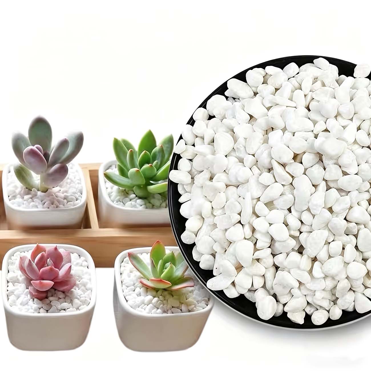 Aquarium Sand White - หินตกแต่งสีขาว 100/200 กรัม - เหมาะสำหรับตู้ปลา, การจัดสวน,