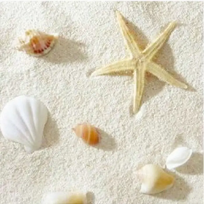 Aquarium Sand White - ธรรมชาติลิ้งค์ ฟิลิปปินส์ แซนด์ คอรัล สำหรับจัดสวนในตู้ปลา ฉากหลังเปลือกหอยสีขาว