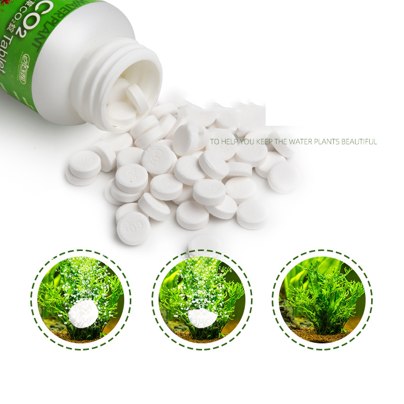 ISTA Fish Tank Aquarium CO2แท็ - Planted Aquarium Without Co2 บทวิจารณ์และราคา