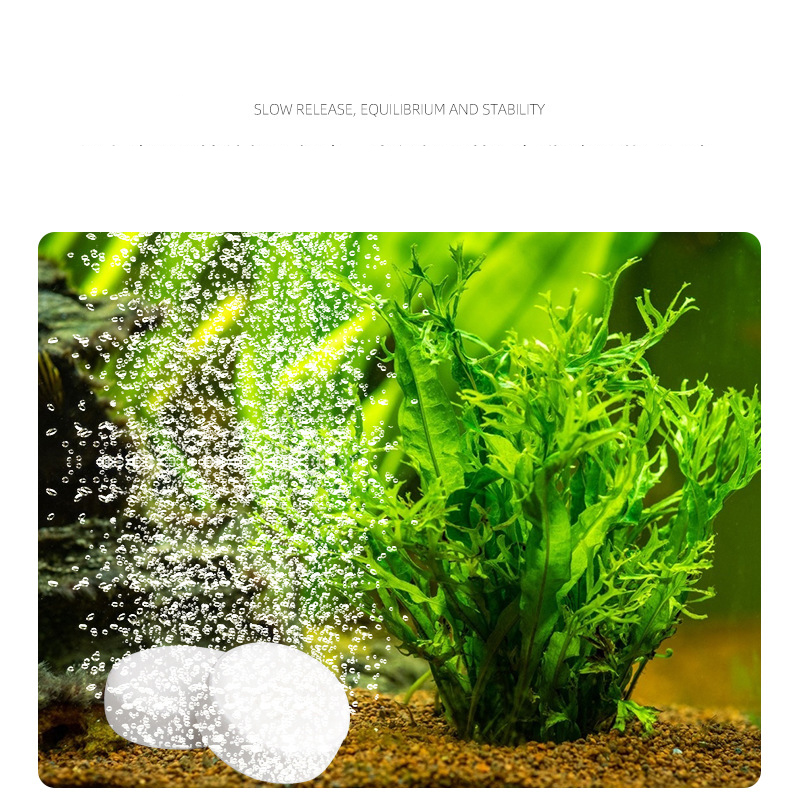 ISTA Fish Tank Aquarium CO2แท็ - Planted Aquarium Without Co2 บทวิจารณ์และราคา