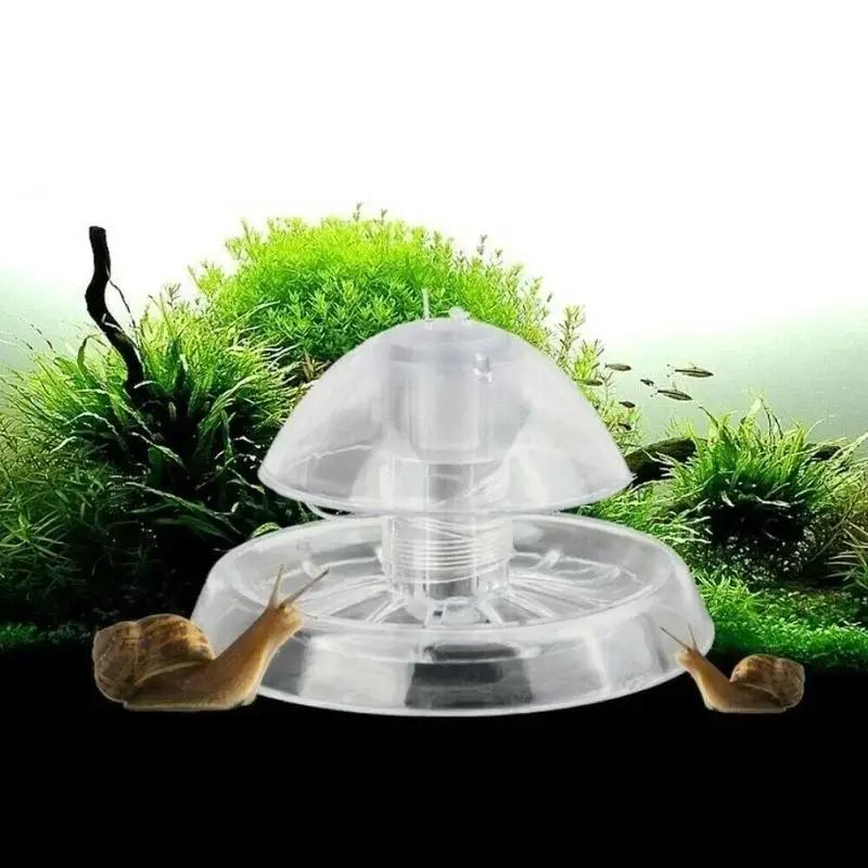 กับดักหอยทากพลาสติกใสขนาด 6/8  - Planted Aquarium With Fish บทวิจารณ์และราคา