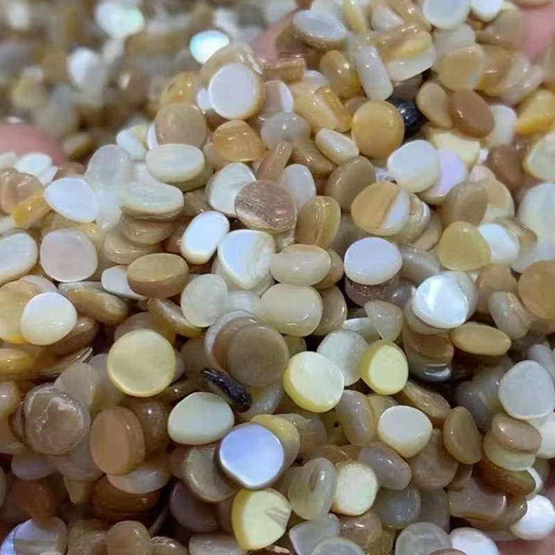 เปลือกหอยมุกธรรมชาติสีเบจขาวขน - Aquarium Sand White บทวิจารณ์และราคา