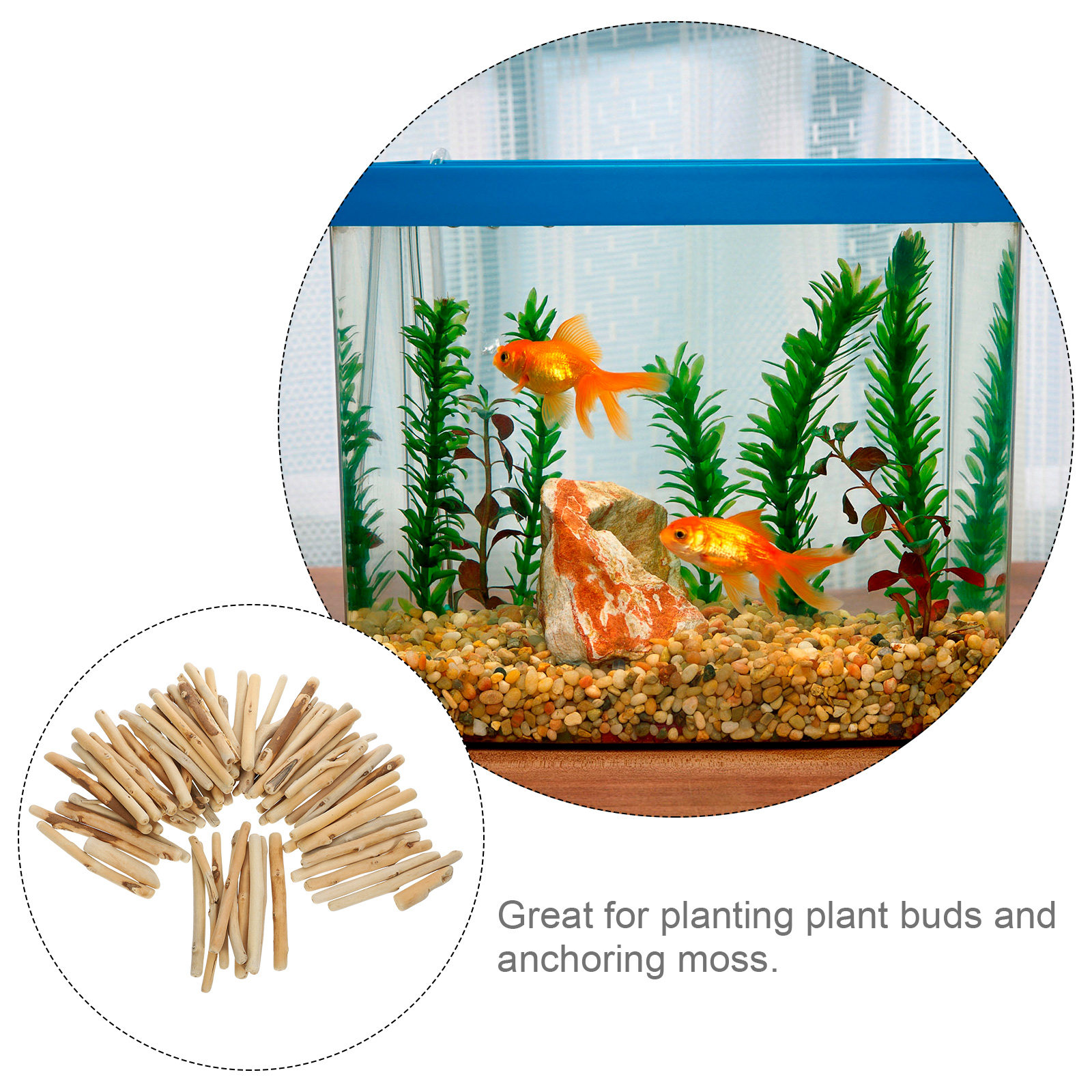 ชุดไม้ลอยน้ำธรรมชาติขนาดสั้น 1 - Planted Aquarium Ph บทวิจารณ์และราคา