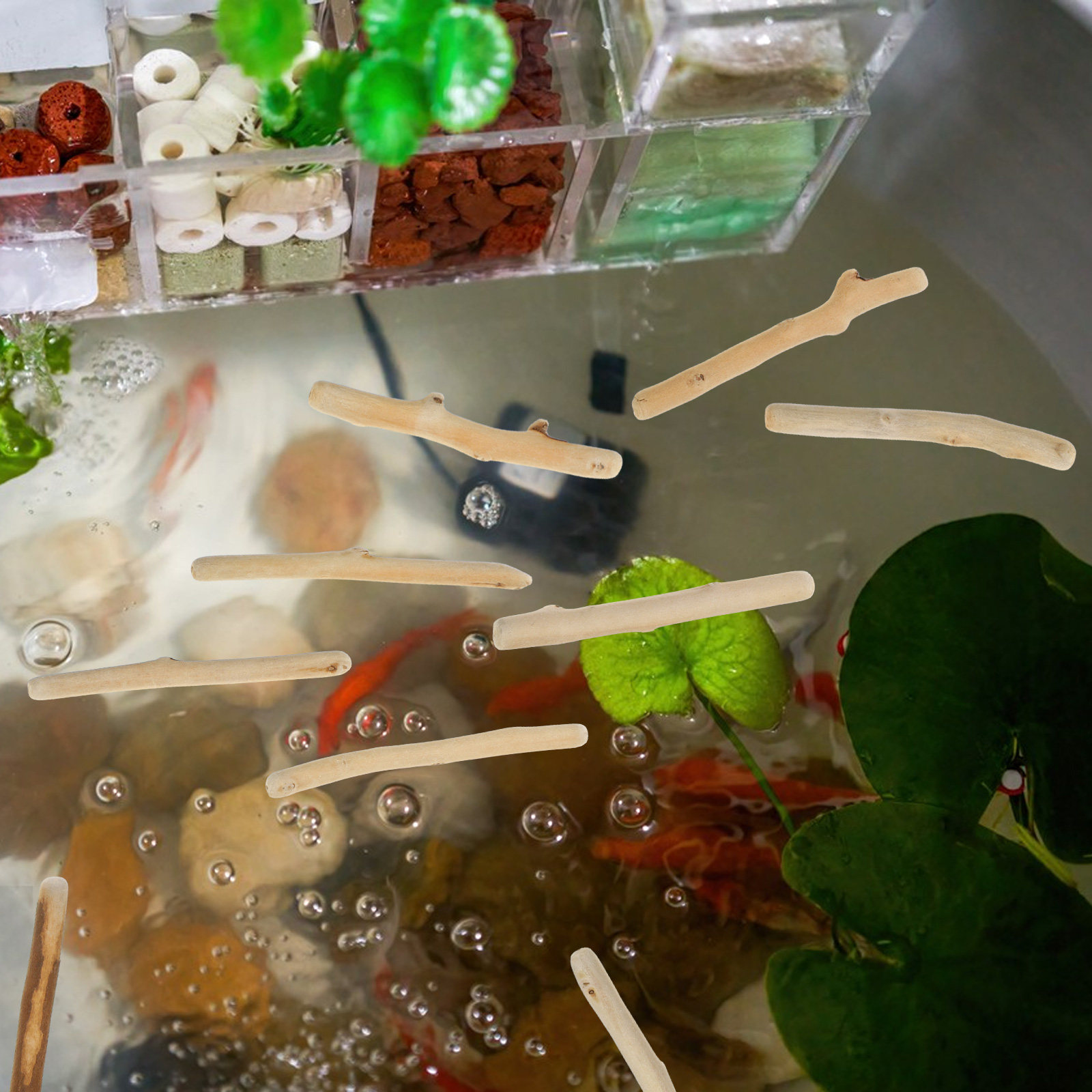 ชุดไม้ลอยน้ำธรรมชาติขนาดสั้น 1 - Planted Aquarium Ph บทวิจารณ์และราคา