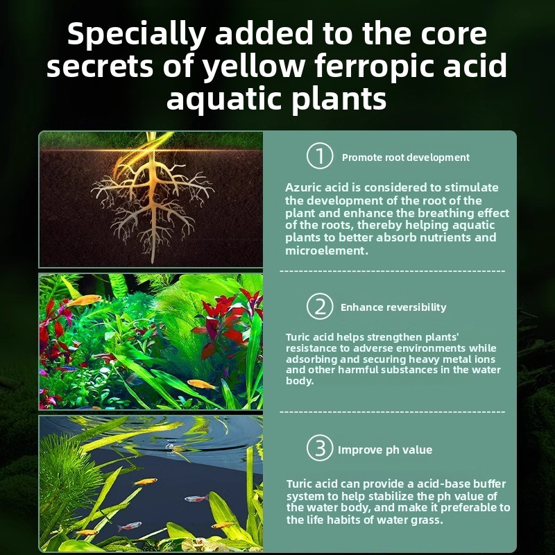 ปุ๋ยพืชในตู้ปลา - โภชนาการของเ - Planted Aquarium Carpet Plant บทวิจารณ์และราคา
