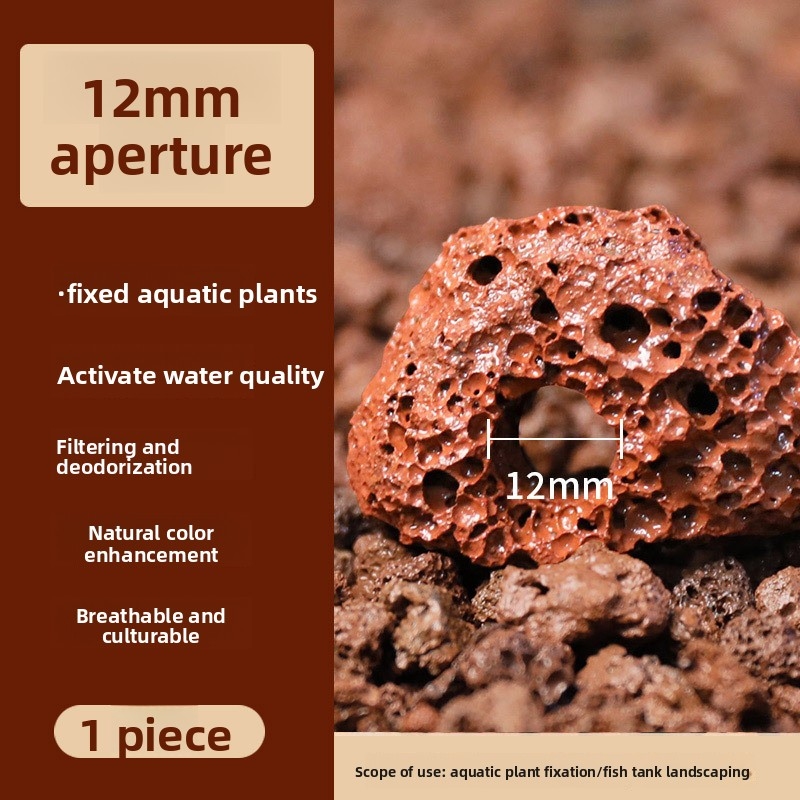 วงแหวนปลูกต้นไม้จากหินลาวาสีแด - Planted Aquarium Carpet Plant บทวิจารณ์และราคา