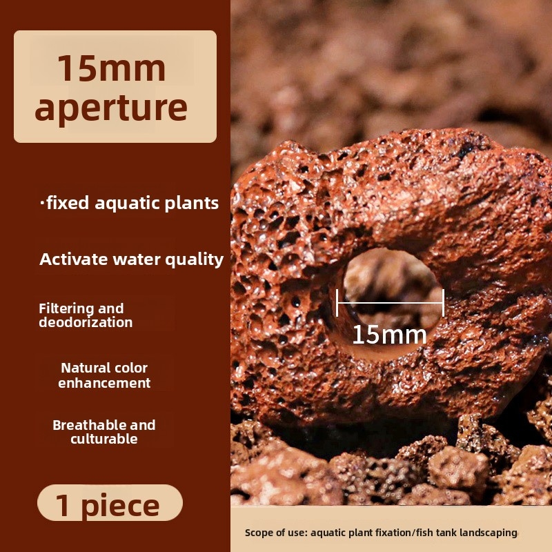 วงแหวนปลูกต้นไม้จากหินลาวาสีแด - Planted Aquarium Carpet Plant บทวิจารณ์และราคา