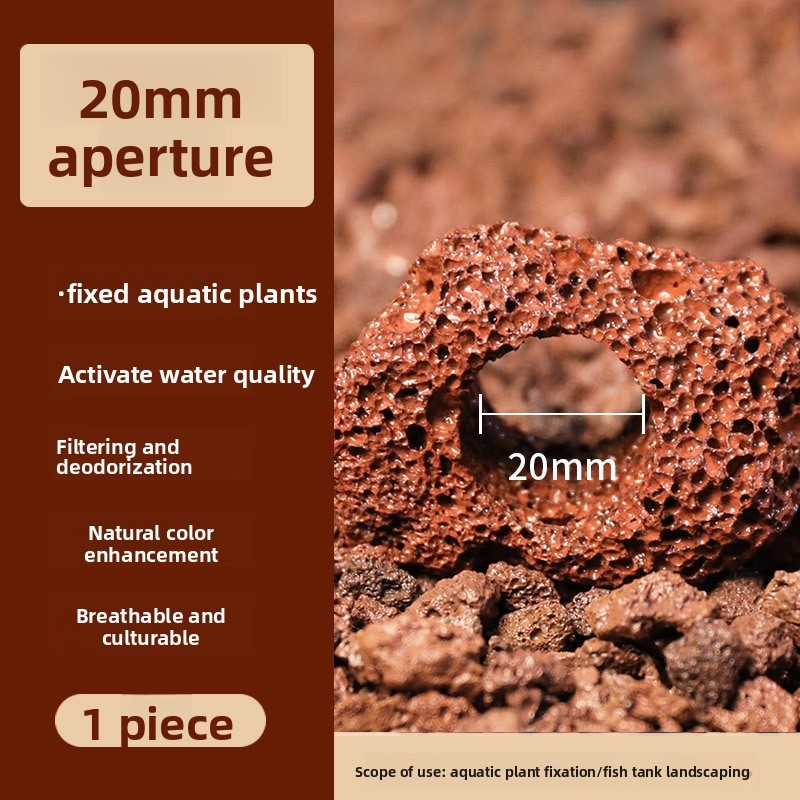วงแหวนปลูกต้นไม้จากหินลาวาสีแด - Planted Aquarium Carpet Plant บทวิจารณ์และราคา