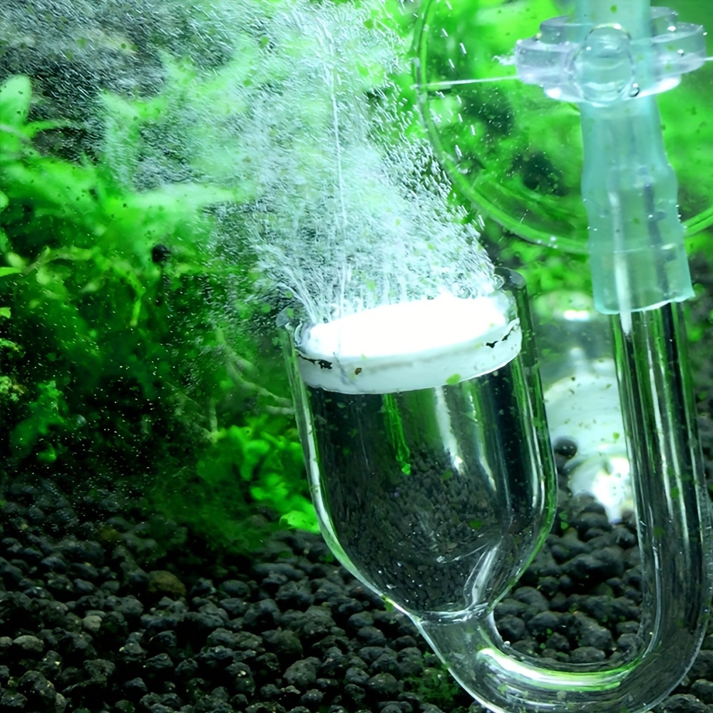 Aquarium Glass CO2 Atomizer Di - Planted Aquarium Equipment บทวิจารณ์และราคา