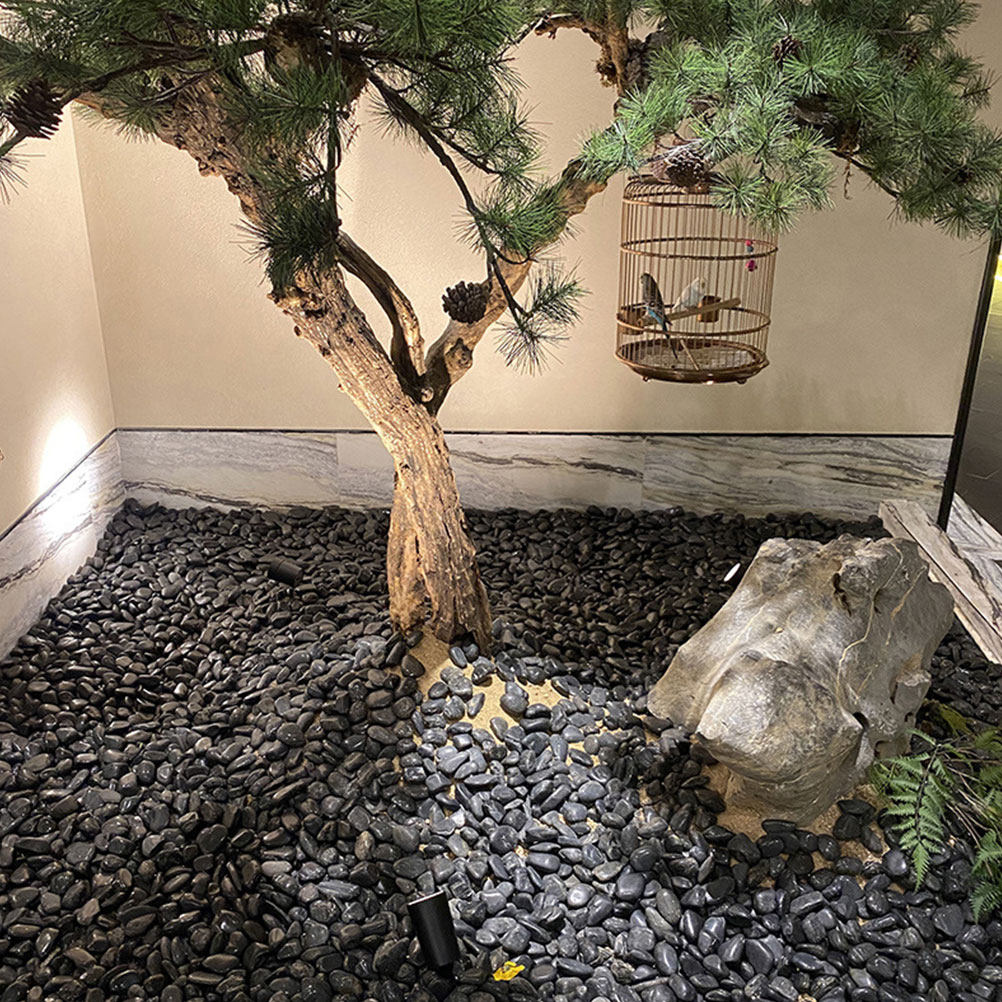 1 ชุดหินกรวดตกแต่งตู้ปลา หินจั - Planted Aquarium With Fish บทวิจารณ์และราคา