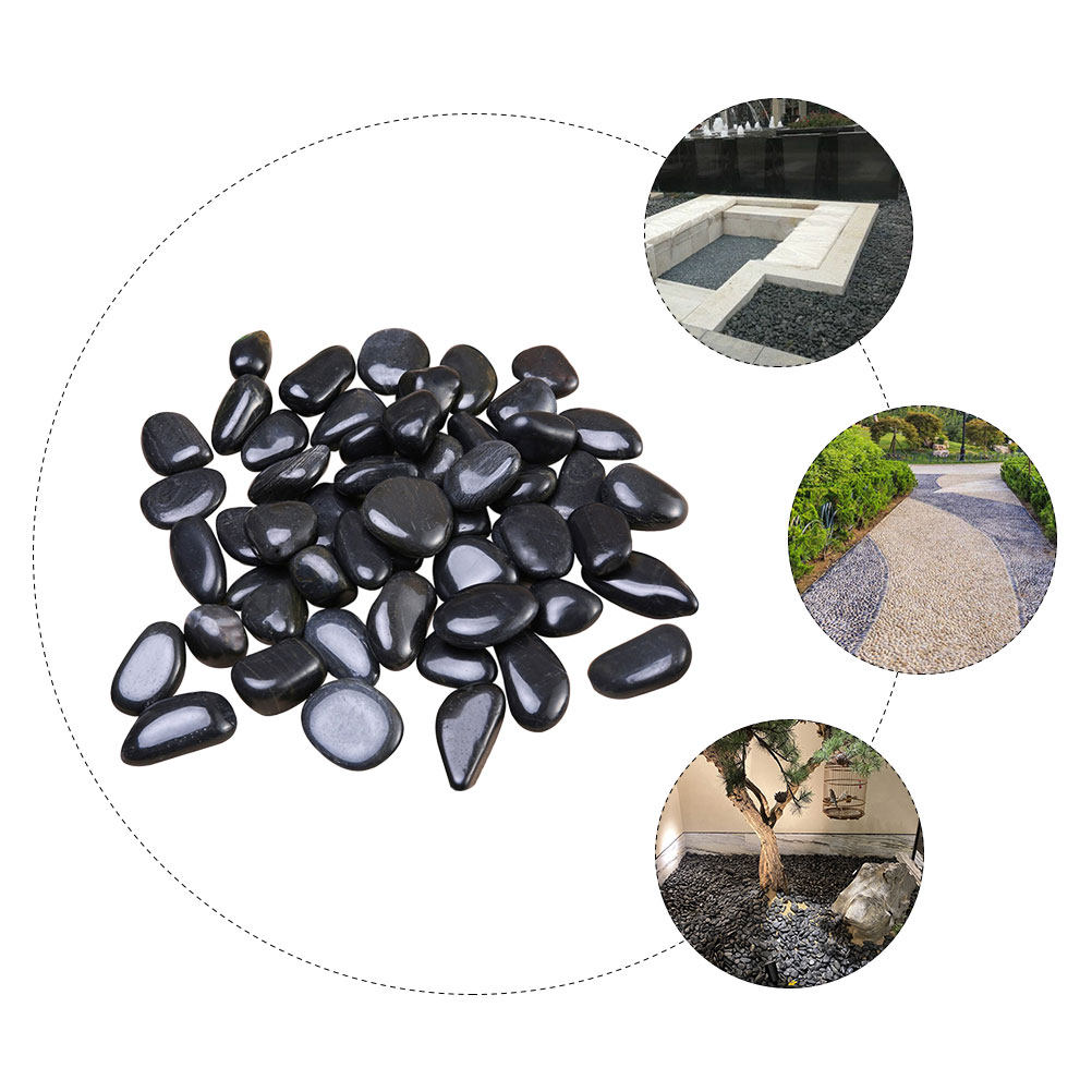 1 ชุดหินกรวดตกแต่งตู้ปลา หินจั - Planted Aquarium With Fish บทวิจารณ์และราคา