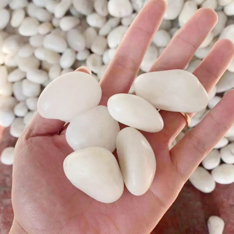 หินแม่น้ำขัดเงาสีขาวธรรมชาติ 2 - Aquarium Sand White บทวิจารณ์และราคา