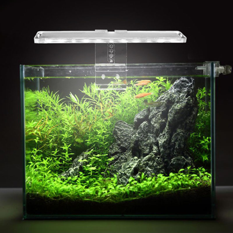 LED Aquarium โคมไฟพืชเหมาะกับถ - Planted Aquarium Price บทวิจารณ์และราคา