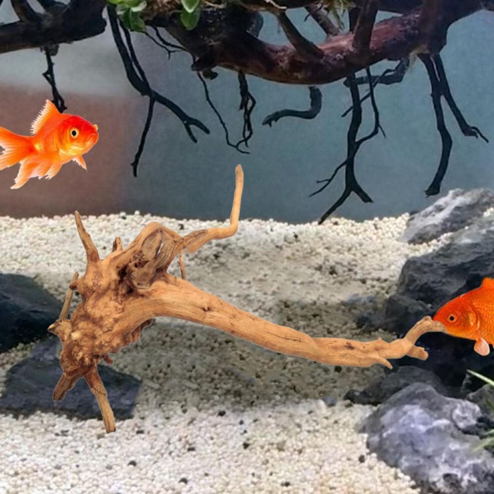 ไม้ลอยน้ำขนาดใหญ่ 20-25 ซม. สำ - Planted Aquarium Equipment บทวิจารณ์และราคา