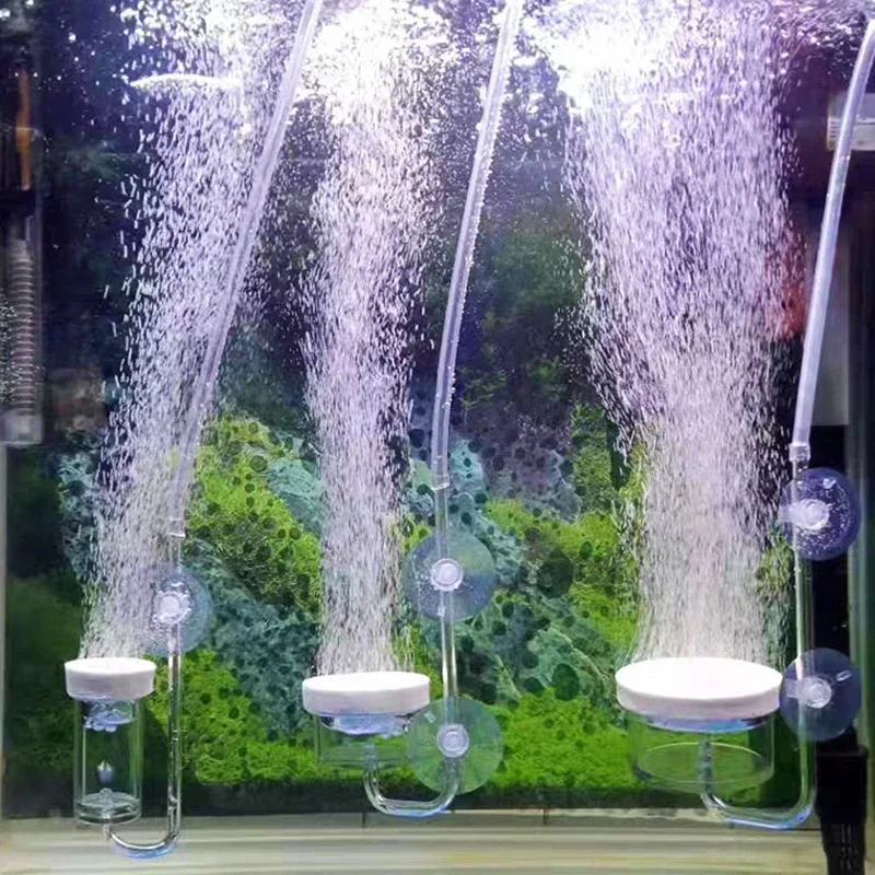 เครื่องเติมออกซิเจนสำหรับตู้ปล - Aquarium Sand White บทวิจารณ์และราคา