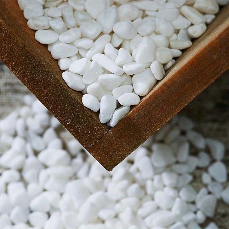 หินตกแต่งสีขาว 100/200 กรัม -  - Aquarium Sand White บทวิจารณ์และราคา