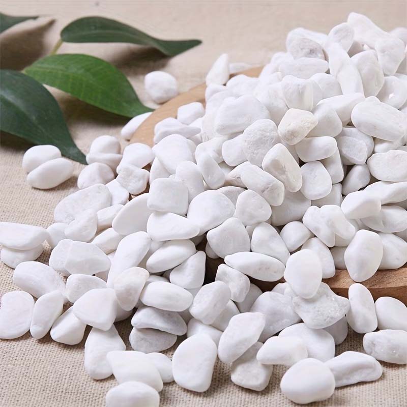 หินตกแต่งสีขาว 100/200 กรัม -  - Aquarium Sand White บทวิจารณ์และราคา