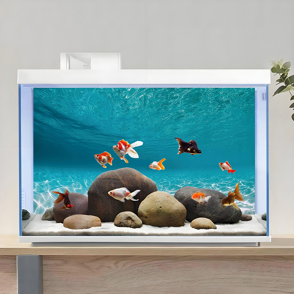ทรายสีขาวสดใส ภาพวาดพื้นหลังตู - Aquarium Sand White บทวิจารณ์และราคา