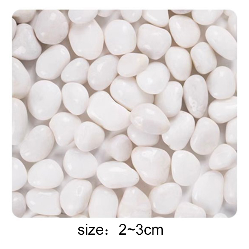 200g/300g/400g หินกรวดขัดเงาสู - Aquarium Sand White บทวิจารณ์และราคา