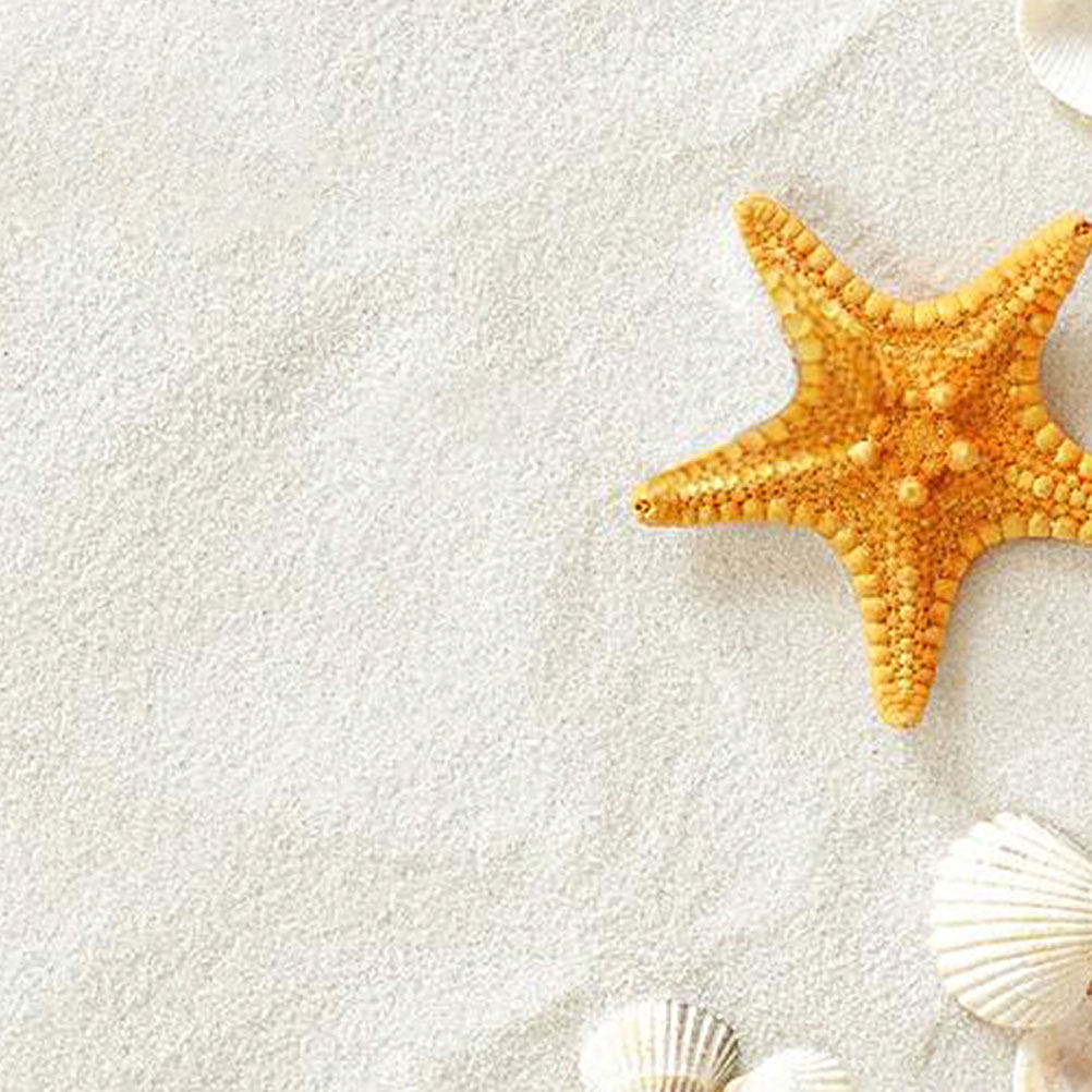 ทรายตกแต่งตู้ปลาสีขาว 5 แพ็ค 8 - Aquarium Sand White บทวิจารณ์และราคา