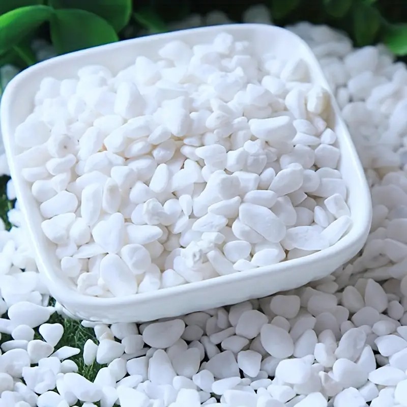 500g/1.1LB ตกแต่งสีขาว Pebble  - Aquarium Sand White บทวิจารณ์และราคา