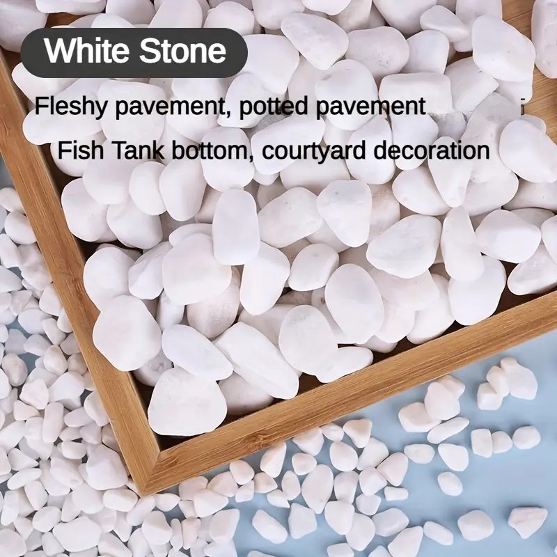 500g/1.1LB ตกแต่งสีขาว Pebble  - Aquarium Sand White บทวิจารณ์และราคา