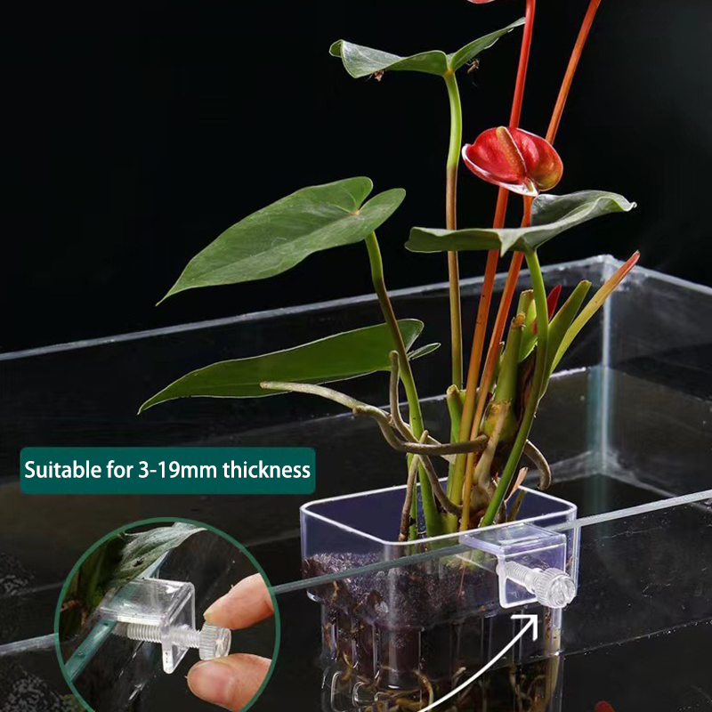 ถ้วยปลูกหญ้าน้ำพิพิธภัณฑ์สัตว์ - Planted Aquarium With Fish บทวิจารณ์และราคา