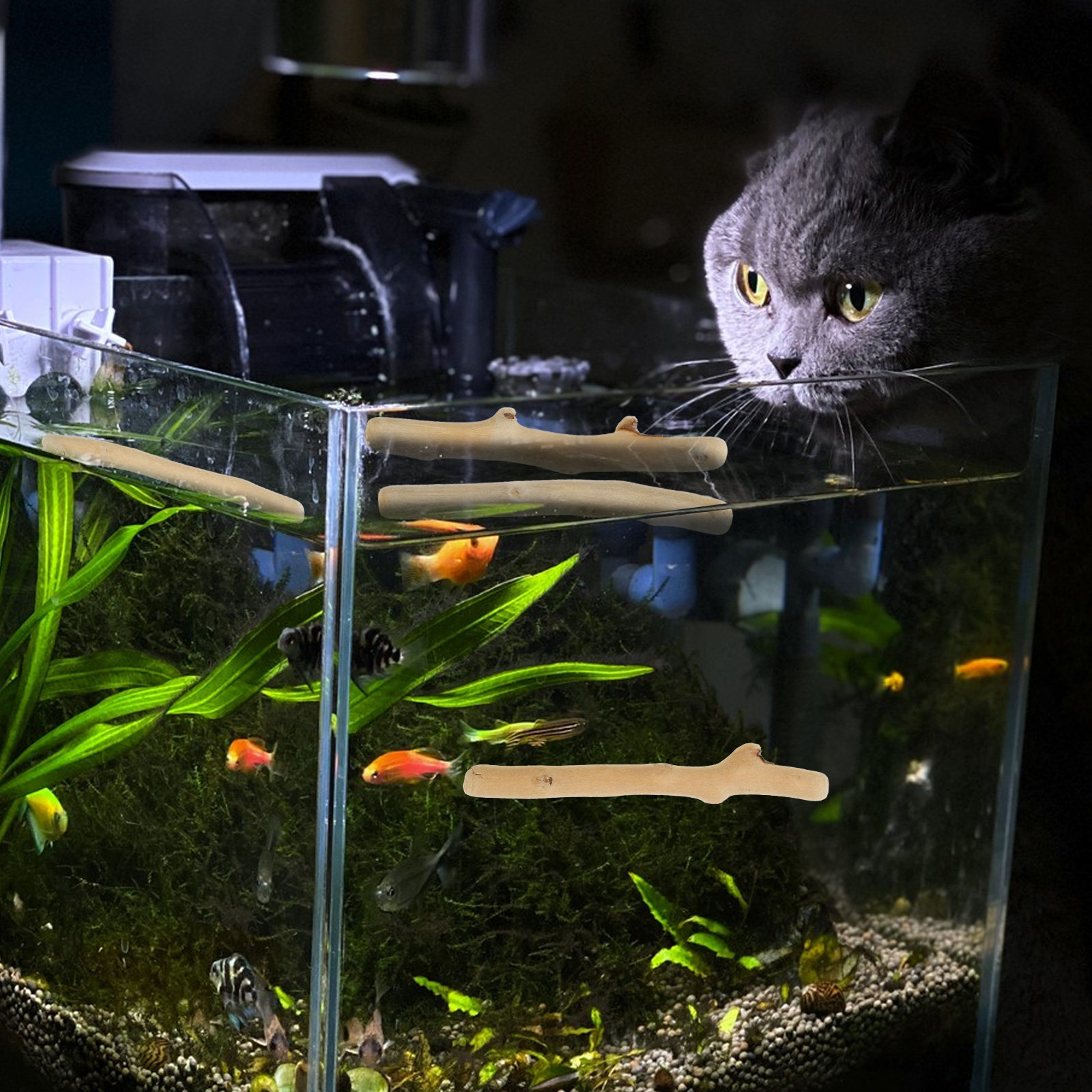 ไม้ลอยน้ำตกแต่งตู้ปลา 1 ชุด ไม - Planted Aquarium Ph บทวิจารณ์และราคา