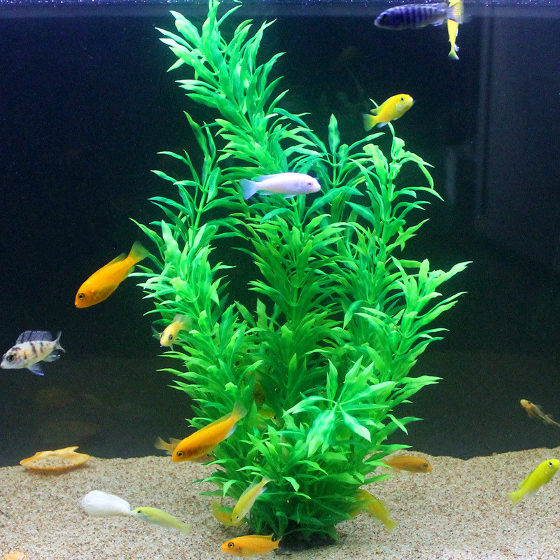 50 ซม.ถังปลาประดิษฐ์พืชหายากAq - Planted Aquarium Equipment บทวิจารณ์และราคา