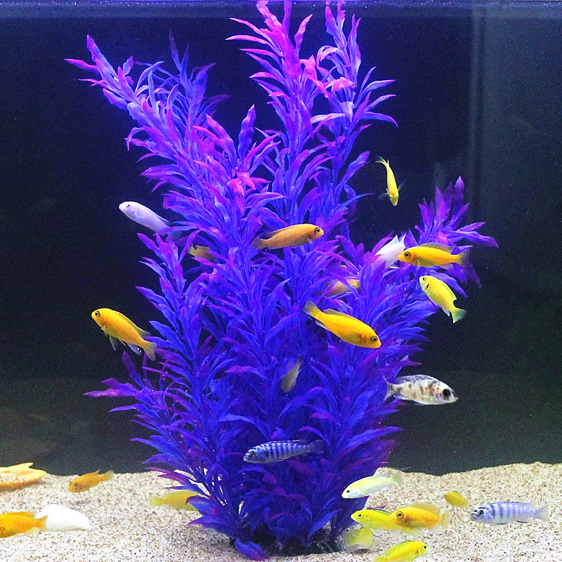 50 ซม.ถังปลาประดิษฐ์พืชหายากAq - Planted Aquarium Equipment บทวิจารณ์และราคา