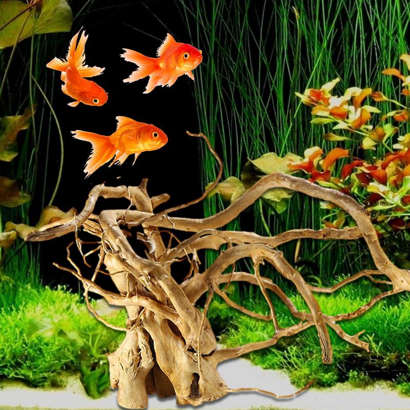 พิพิธภัณฑ์สัตว์น้ํา Driftwood  - Aquarium Plant Glue บทวิจารณ์และราคา