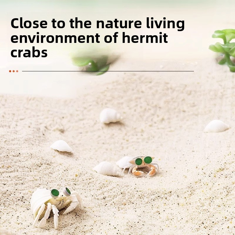 ทรายและวัสดุรองพื้นตู้ปลาสำหรั - Aquarium Sand White บทวิจารณ์และราคา